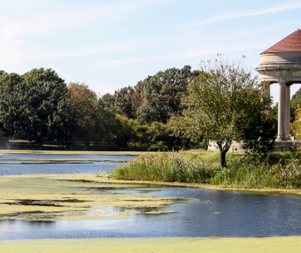 全美TOP美食市集之一!费城东南亚市场到底有多香?飞什么东南亚!让你泰老越风味一次吃个遍!